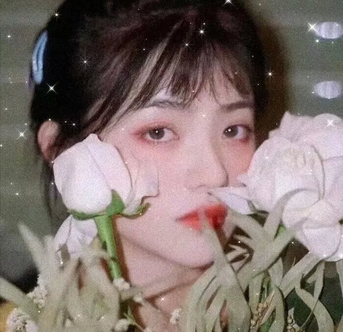 大搜查之女